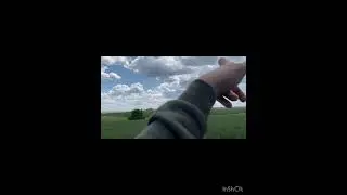 Будет ли урожай в 2024🌾🌾🌾