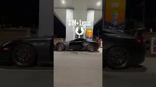 you never know what you'll see 