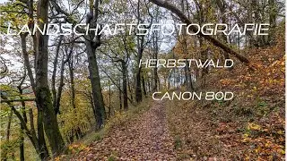 Fotografieren mit der Canon 80D im Herbst und Canon 10-18 mm EFS Objektiv.