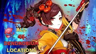 All Locations 55 Dendrobium | Efficient Farming Route | Chiori Ascension Materials 【Genshin Impact】