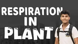 🔴 Respiration In Plant• Class 11 NCERT