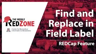 Find and Replace in Field Label