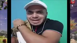 QUE ESTA DICIENDO DIOS ? / Profeta Pedro Alvarado / palabras del REINO
