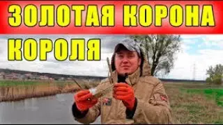 #КЛАД