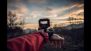 День_О_Первого_Лица_