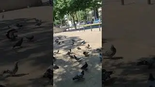 Barcelona #beutifull #world #wordlistwithmeaning #foryoupage #foryou #follow#shortvideo #