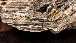 Biotite