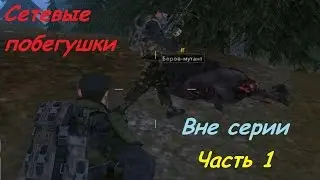 Stalker Online [На слабом ПК]# Вне серии - Сетевые побегушки