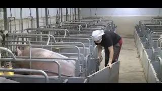 Оператор по уходу за животными