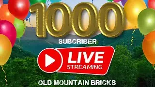 1000 Subscriber Live Stream! Live LEGO Build & Q&A! 100th Video!