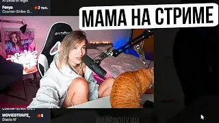 ГЕНСУХА ПРОСИТ ЧТОБЫ РАВШАН ИЗВИНИЛСЯ