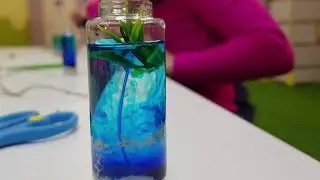 Мастер-класс 