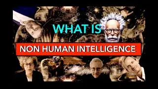 UAP are Non Human Intelligence