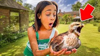 THE BIRD THAT ATTACKED CALI