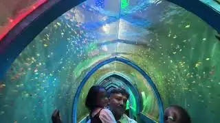 Fish Expo