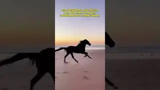 22 августа 2024 г.