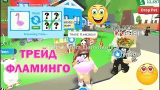 😍😁😘 WHAT PEOPLE GIVE for FLAMINGO in Adopt Me ROBLOX / trade FLAMINGO / what they offer 😍😁😘