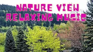 Relaxing Music with Beautiful Nature View