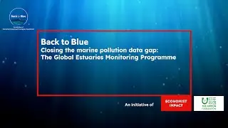 Closing the marine pollution data gap: The Global Estuaries Monitoring Programme