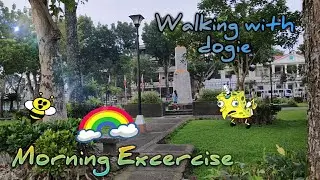 Walking with dogie