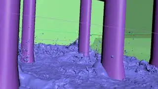 Flood Simulation in PhoenixFD