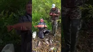 How's the fishing going, guys? 
