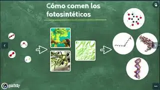 Sobre la Fotosíntesis_Lo más simple posible.