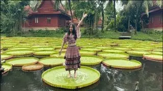 10 MOST AMAZING AND UNUSUAL PLANTS IN THE WORLD (TOP FLOWERS AND PLANTS)