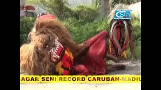 KUCINGAN LUCU// MARGO JATI JOLO SUTRO