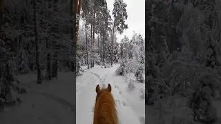 Сказочно✨                   