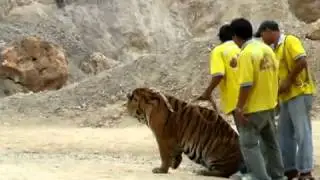 koduvally movie