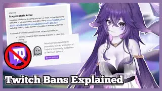 Is This How Twitch's Ban System Works?