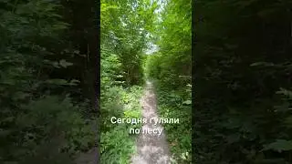 Самое прекрасное было пение птиц 🫶 послушайте 🔊 #созвуком #влесу #природа