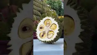 How to eat durian in Singapore