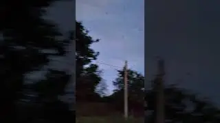 комары атакуют :)