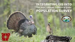 INTEGRATING GIS INTO THE AGFC ANNUAL TURKEY & QUIAL POPULATION SURVEY