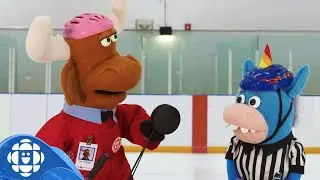 What in the Paralympic Winter Games is a Puck? | CBC Kids