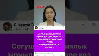 26 августа 2024 г.