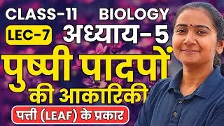 L-7, पत्ती (Leaf) के प्रकार, अध्याय-5, पुष्पी पादपों की आकारिकी | Class-11th Bio कक्षा-11 जीवविज्ञान