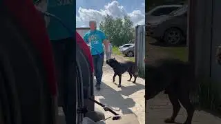 Талли