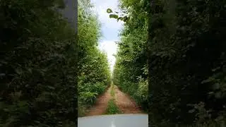 26 августа 2024 г.