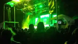 Peekaboo 2 (SCAMP 2022)
