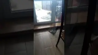 12 июля 2024 г.