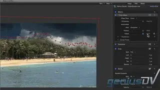 Draw Mask Feature in Final Cut Pro X
