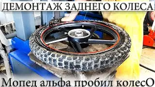 ☑️ КАК СНЯТЬ ЗАДНЕЕ КОЛЕСО МОПЕД АЛЬФА?