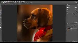 photoshop design tutorials for beginners #shorts #photoshop # 107