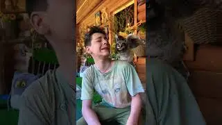 Реакция на совиную неожиданность 💩🤣🤪😜🤭 
