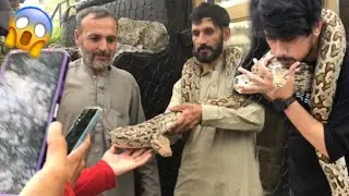 Saanp Ko Chummi Dy Di 🤣 Gone Extremely Wrong😱