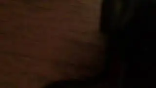 Beverley Hills Cop Axel F 7 mins Written By Atom Hewitt 2024