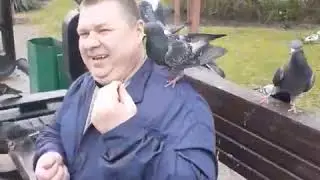 Кормим голубей
